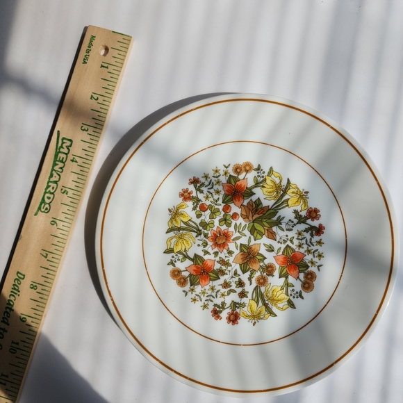 Set of (4) Corelle plates Indian Summer - Picture 4 of 10